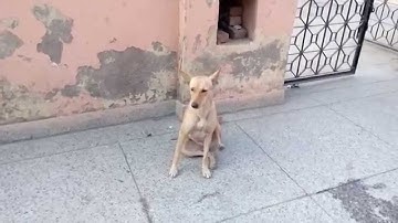 Micromax Canvas 4 plus review- sample video recorded by this phone