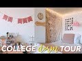 COLLEGE DORM TOUR + organization! (freshman)