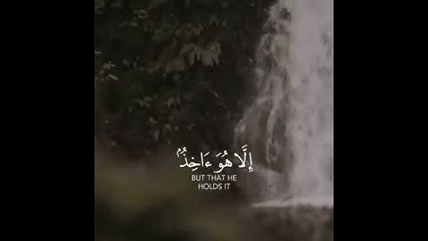 ارح مسمعك بآيات من الذكر الحكيم مع القارئ رعد الكردي بدون حقوق