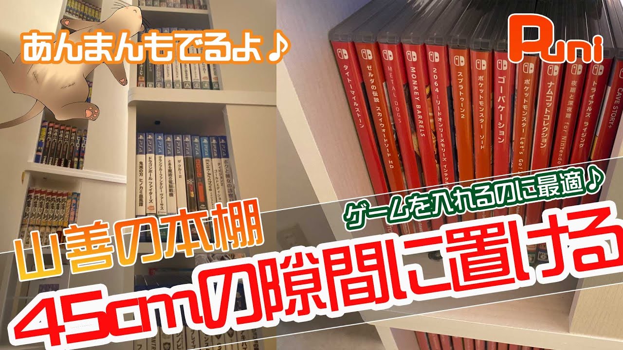Product Introduction] I bought a bookshelf to store my games in