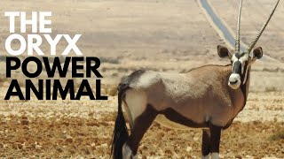 The Onyx Power Animal