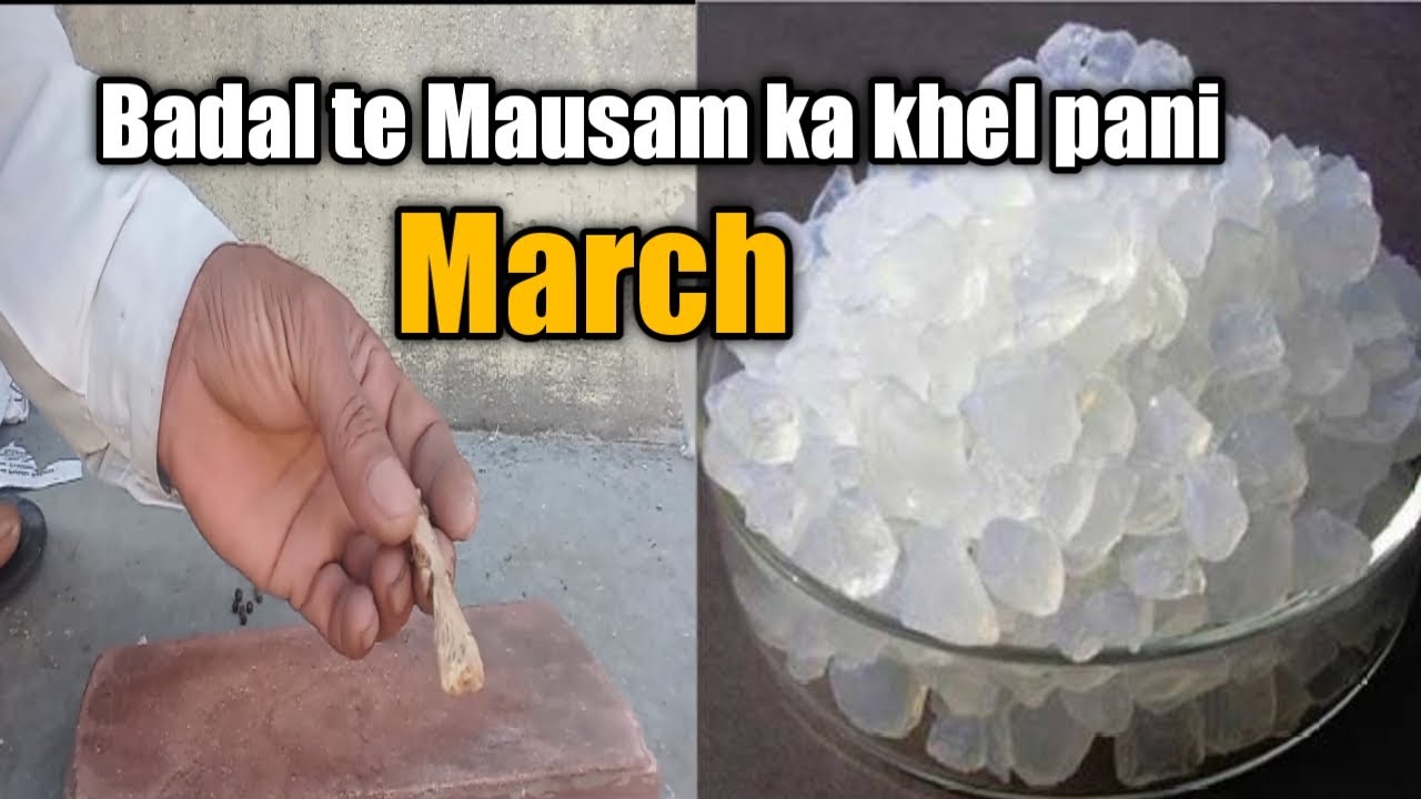 Badal te Mausam ka khel pani  March me.kabutar ko Lambi le jane ka pani. kala pani.