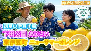 Stroll] Early Summer on the Izu Peninsula: Commodore Perry Would