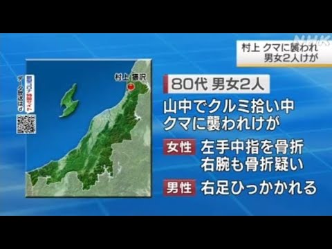 村上市でクマに襲われ２人けが 新潟県(動物愛誤)(製造車禍.傷人.人身被害)(Animal Attacks)(アニマルホーダー.動物囤積症.Animal Hoarding)(狂犬病.Rabies)