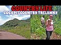 DIGGING YAMS IN THE COCKPIT COUNTRY | COUNTRY LIFE IN JAMAICA| 🇯🇲 VLOG