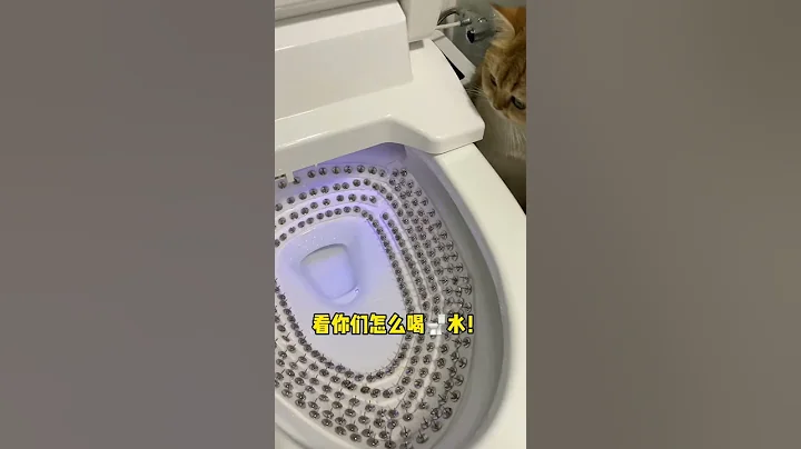 【牛奶是只貓】看你們還怎麼喝🚽水！！！！！#金漸層 #家有傻貓 - 天天要聞