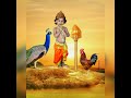 Chellakutty Saai Krithika