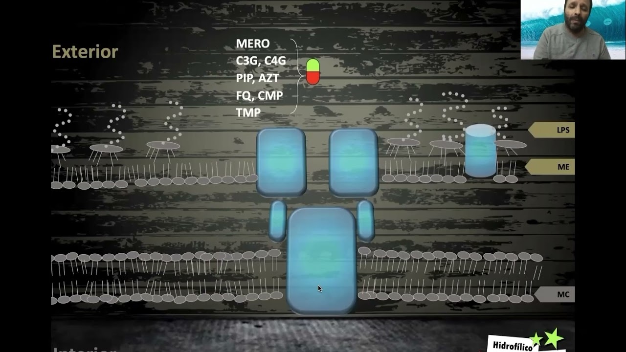 Pseudomonas aeruginosa, mecanismos de resistencia. Dr. Fernando Pasteran