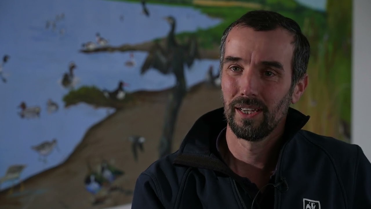 The UK's Wildlife - Documentary