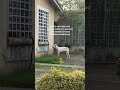 Los odio a todos , llevo 5 días llorando sin saber qué hacer , no puedo dejar de pensar en ese be...