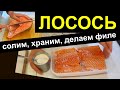 ЛОСОСЬ как разделать филе КАК ЗАСОЛИТЬ как хранить КАК ВЫБРАТЬ / соленый лосось / солим красную рыбу