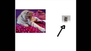 Liceo Matematico IIS G da Catino GIF 3