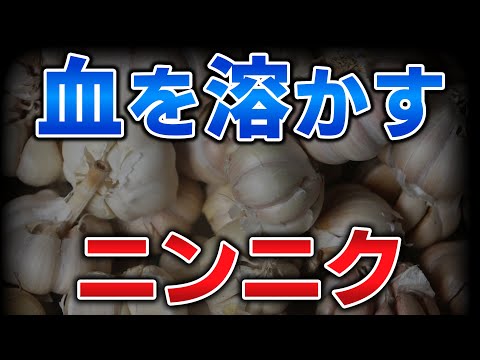 猫に大蒜は危険！一片で中毒の量と症状、緊急時の正しい対処法