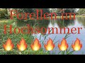 Forellen im Hochsommer " Feuer frei " Trout Area an heißen tagen