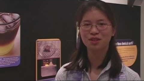 DSC Hall of Fame Awards: Cathy Wu (2008)