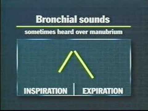 Breath Sounds