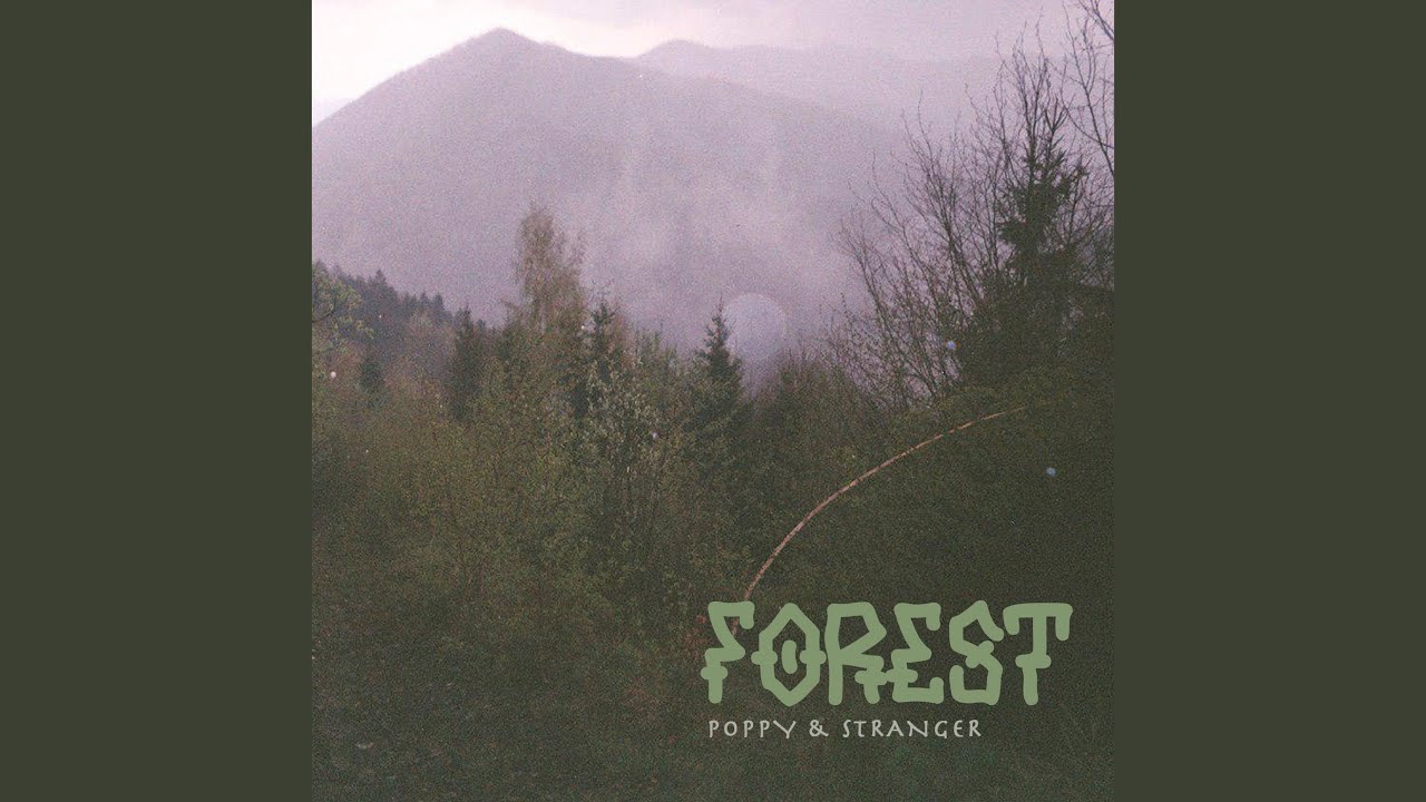 Obejrzyj Forest w YouTube Obejrzyj Forest w YouTube