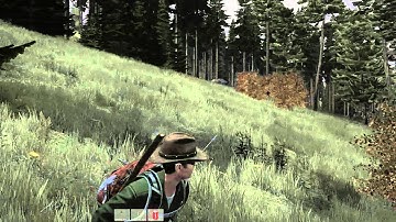 DayZ Animation Bug + Zombie Slip