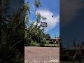 60 yr old guide to scoring on Wemby #wembanyama #basketballdrills #ballislife