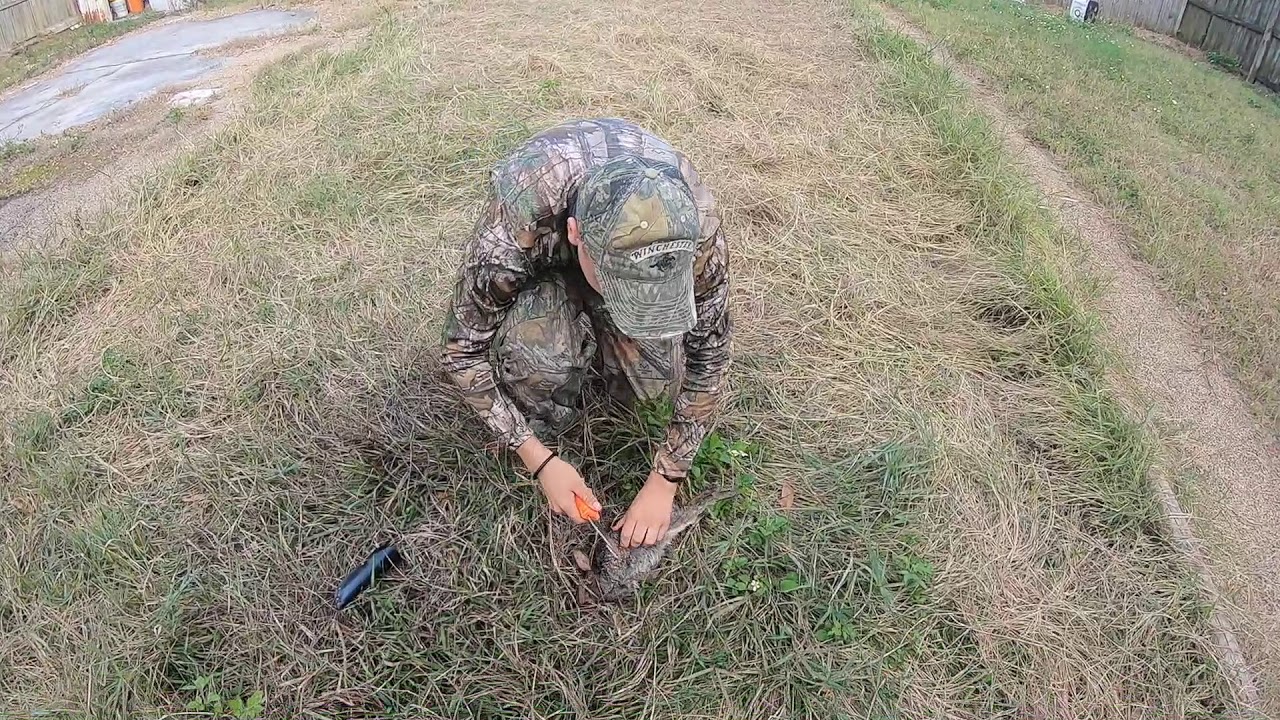 Florida Marsh Rabbit: Catch and Clean - YouTube