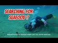 Searching for Seafood on the Seabed – Caught an Octopus, Pomfret, and Egg-Filled Squid | Aqua Quest