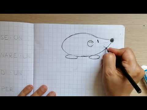 Video: Come Si Disegna Un Riccio