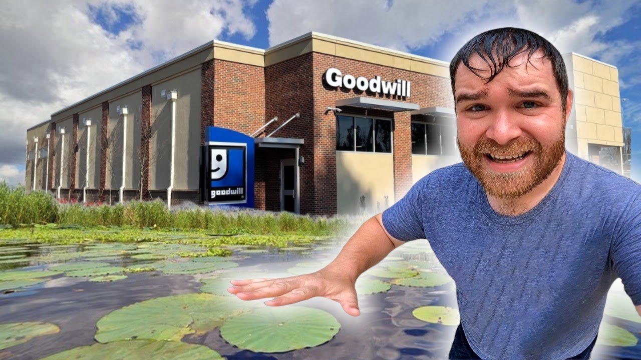 Goodwill Or Lake...Which One Has More Profit Inside?