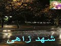 هاشم ميرغنى زاد أذاي ياصاحي واعتراني نحول 