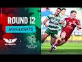 Scarlets vs benetton  instant highlights  round 12  urc 202324