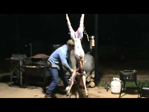 How To Skin A Deer Fast - YouTube