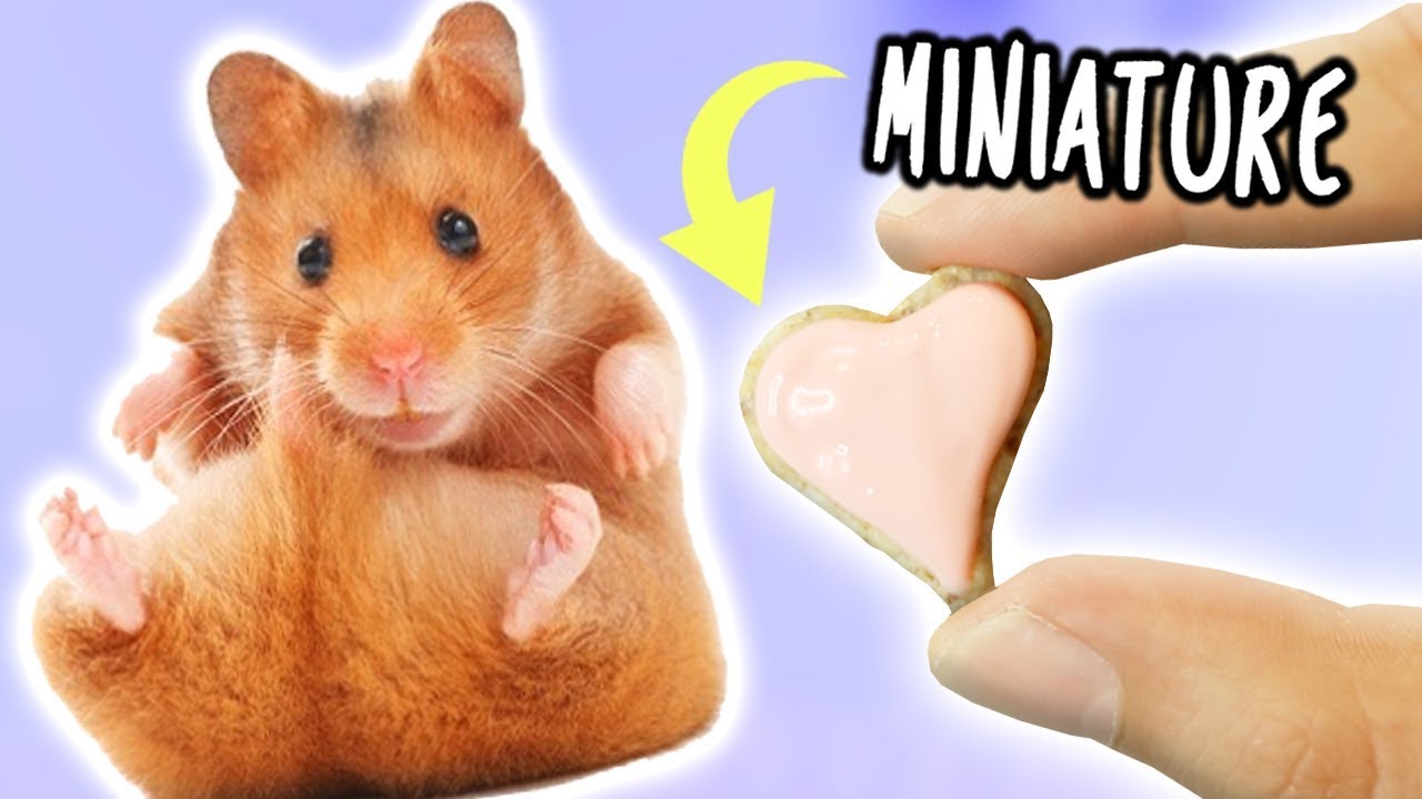 Making MINIATURE COOKIES For My Hamster!!! | Raphael Gomes