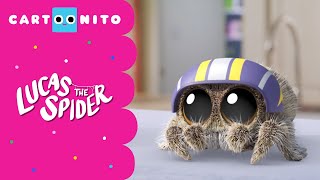 Let's Slide | Lucas the Spider | Cartoonito
