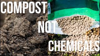 Your Plants Dont Need Chemical Fertilizers — They Need This
