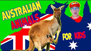 Australian Animals with Matty Crayon by Matty Crayon - Educational Videos for Kids 31,095 views 4 years ago 10 minutes, 2 seconds