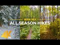 4k virtual forest walk in summer autumn and winter  all season hikes  episode 1