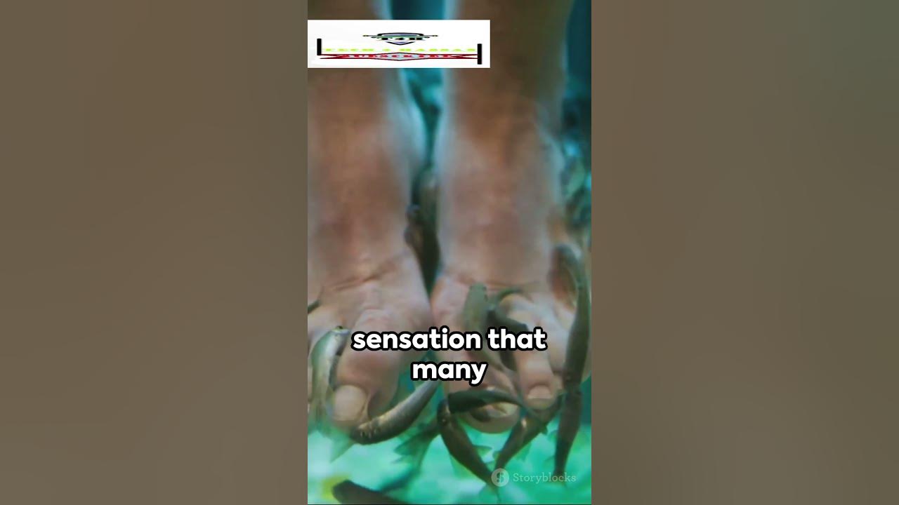 fish-pedicure-is-fish-pedicure-safe-viral-trending-ytshorts-youtube