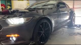 Testing the NC Speed Lab Holley Intake Manifold Swap with our 2015 Mustang V6 3.7L on the DYNO!!