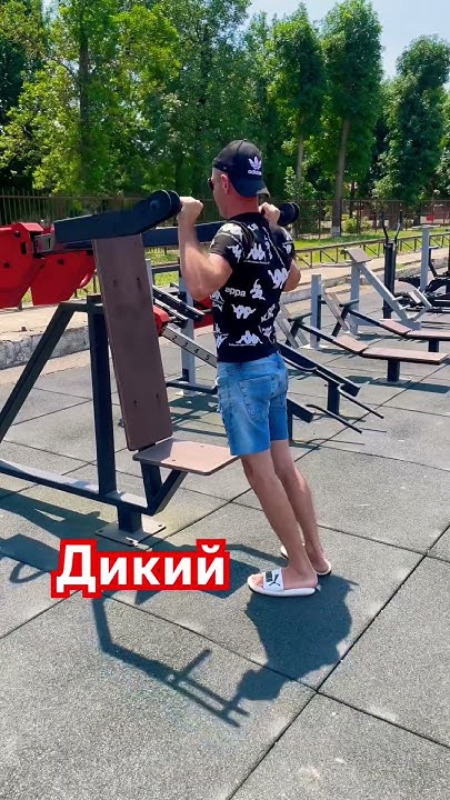 Дикая тренировка жесть #мистика #стремный #лес #sports #ufc #mma - YouTube
