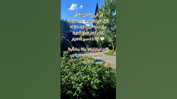 … لا تنسَ قراءة سورة الكهف، فهي نورٌ ما بين الجمعتين 🤍،اللهم قرّب لنا كل ما تراه خيرًا 🤲🏻🤍 #ذكر_الله