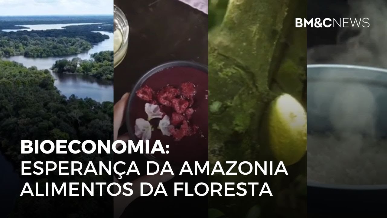 bioeconomia-esperan-a-da-amazonia-alimentos-da-floresta-youtube