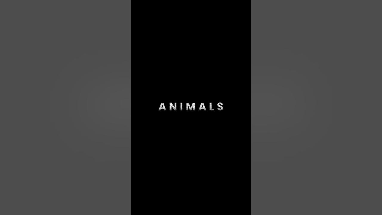 Maroon5 - Animals slowed + reverb status Maroon5 - Animals slowed + reverb status