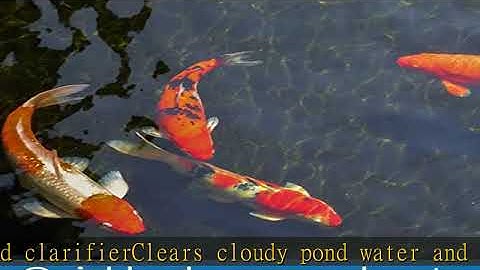 API POND ACCU-CLEAR Pond Water Clarifier 32-Ounce Bottle