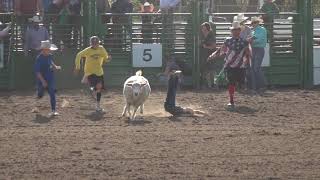 Summit County Fair - Lil Buckaroo Rodeo!