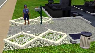 The Sims 3 Angery Mail Women