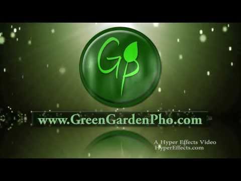 Green Garden Pho Silverdale Restaurant Youtube