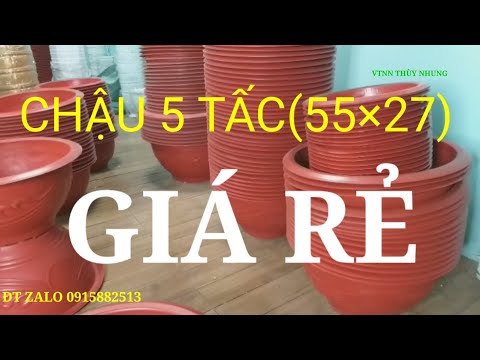 Video CHẬU NHỰA TRỒNG CÂY CỠ LỚN GIÁ RẺ (size 55 x27) PHỤC... - youtube