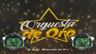 Video thumbnail of "Orquesta de Oro -  Mix Vallegrandinos CON BAJO extendido"