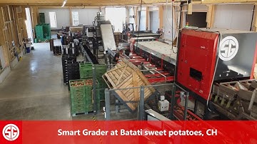 Smart Grader EVO 408 - Batati Sweet potatoes