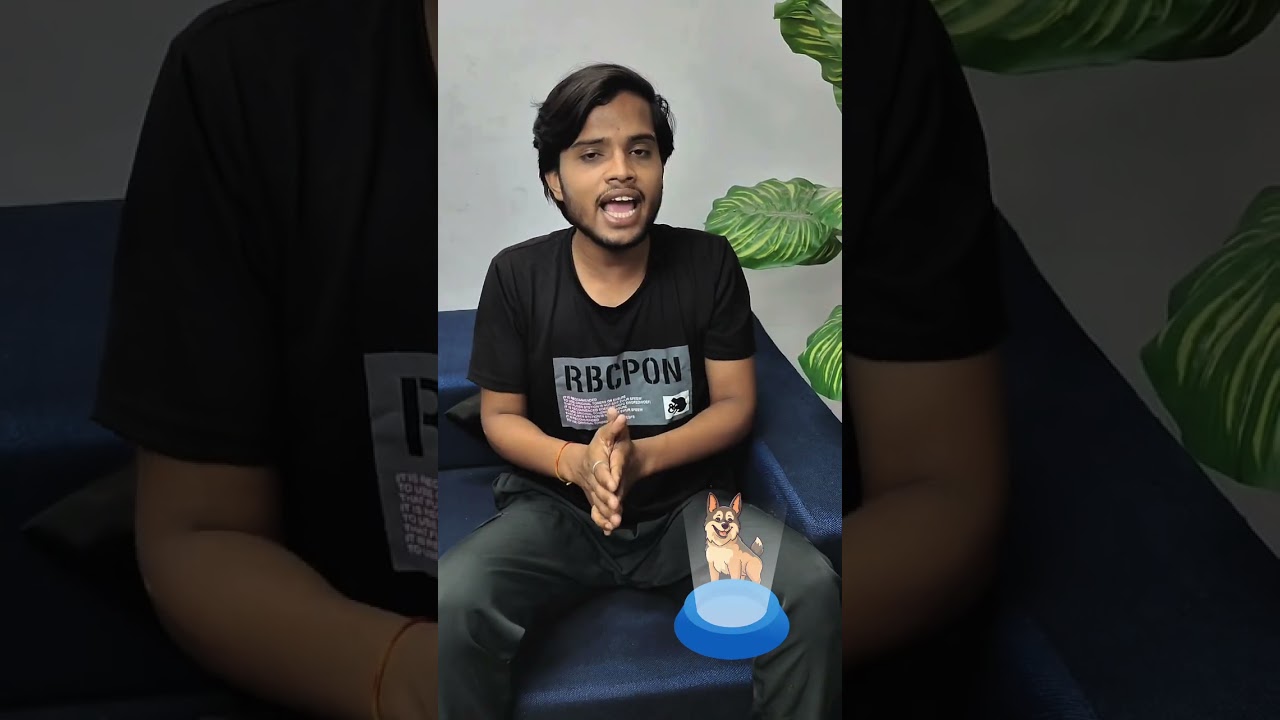 Dachshund amazing bread. #dogowner #dogsvani #dachshundlover #bread