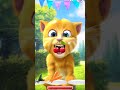 talking ginger gameplay 🤣 funny cat video 🐈 #talkingtomversion #cat #talkingtom